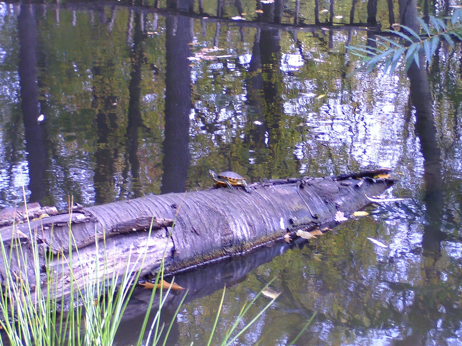 Zoom 18.10.08-077.jpg